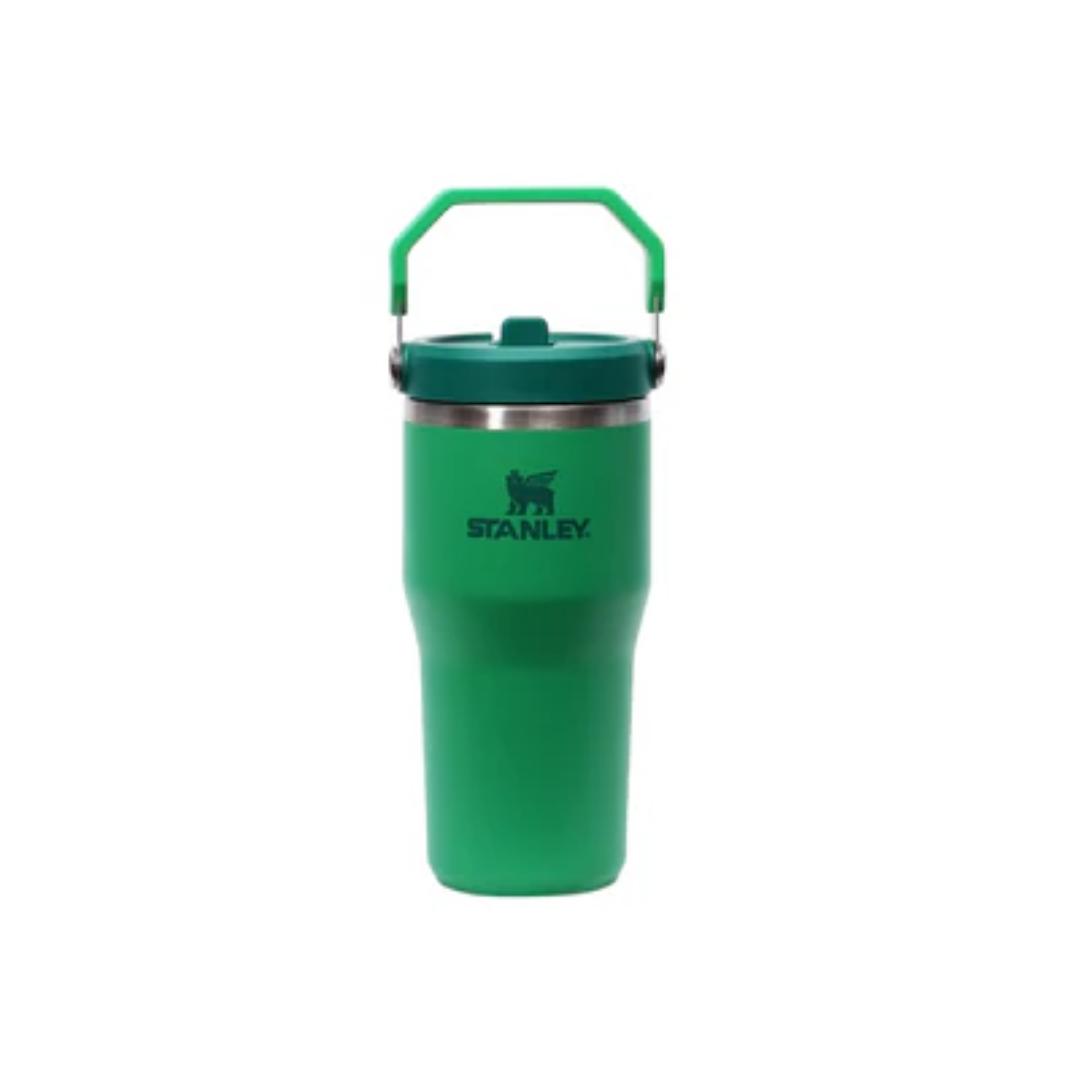 Termo Stanley IceFlow Flip Straw Tumbler 2.0 | 20 oz 591ml)