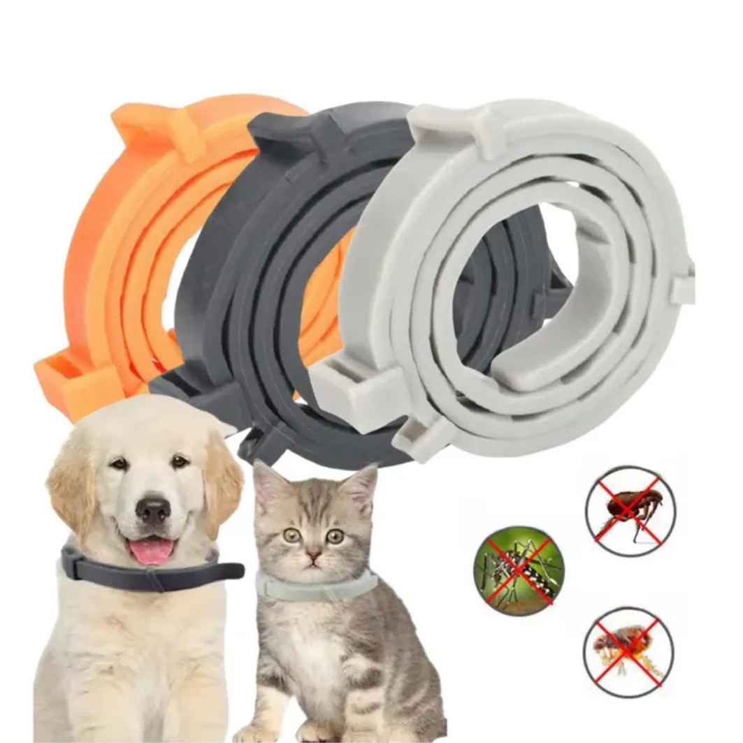 Collar Antipulgas Garrapatas Para Gatos 60cm No Toxico Perro